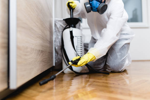 Best Termite Control Services  in Fort Mill, SC