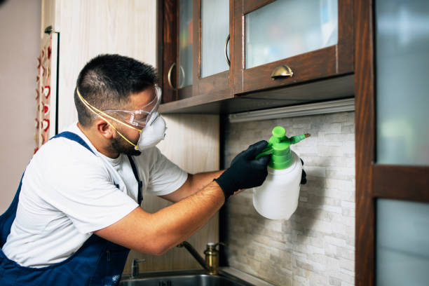 Best Local Pest Control Services  in Fort Mill, SC