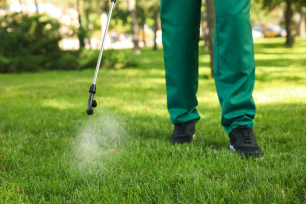 Professional Pest Control in Fort Mill, SC