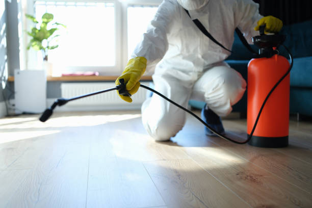 Professional Pest Control in Fort Mill, SC