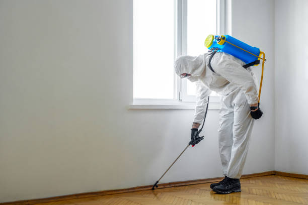 Best Mosquito Control Services  in Fort Mill, SC