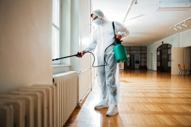 Best Mosquito Control Services  in Fort Mill, SC