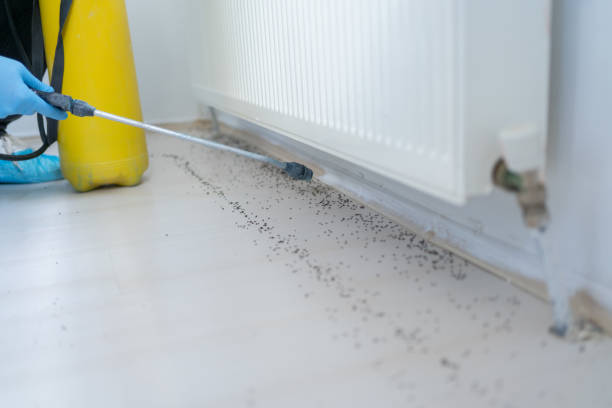 Best Pest Control Near Me  in Fort Mill, SC