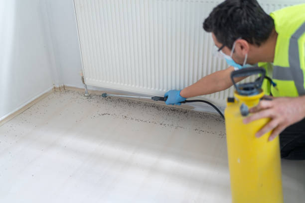 Best Best Pest Control Companies  in Fort Mill, SC